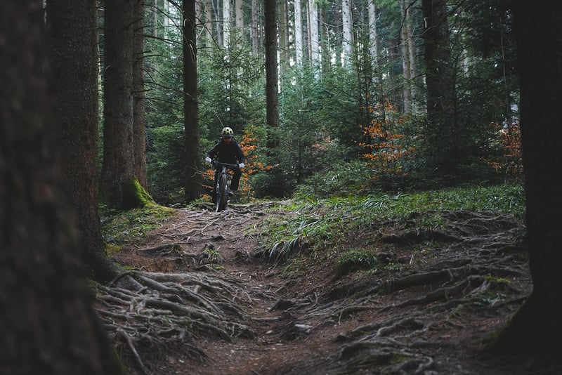 Cycling in nature